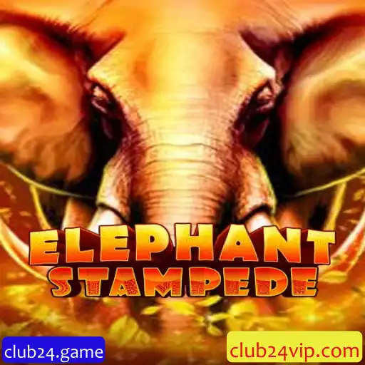 Explorando o Mundo de ElephantStampede: Mergulhe na Aventura com club24.game